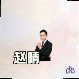 赵晴